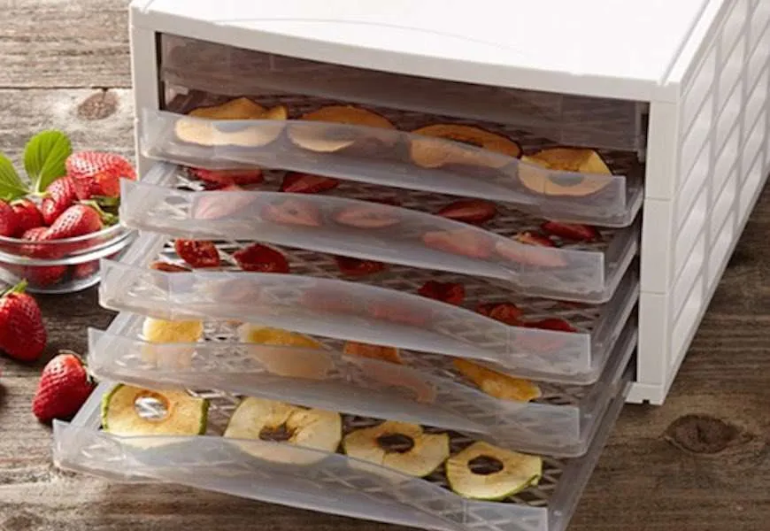 Harnessing the Sun: Your Guide to a Solar Food Dehydrator