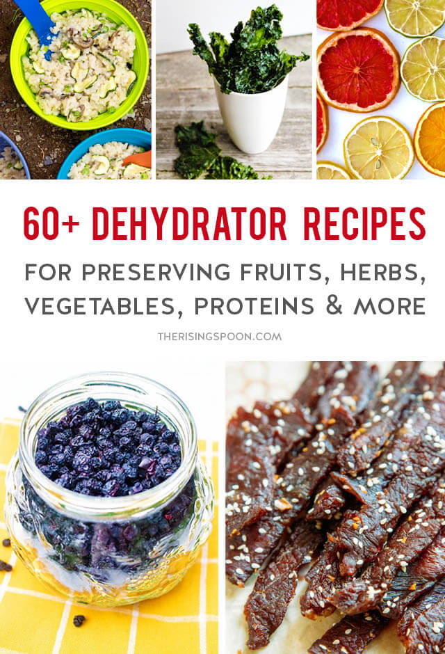 Unlock a World of Flavor: Your Guide to the Gourmia Food Dehydrator