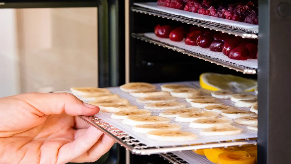 Unlock a World of Flavor with the Nesco Gardenmaster Food Dehydrator